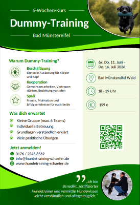 Flyer Dummykurs